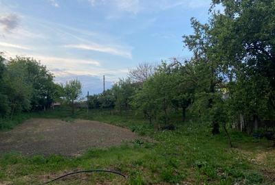 Casă cu 3 camere în Brănișca - 8