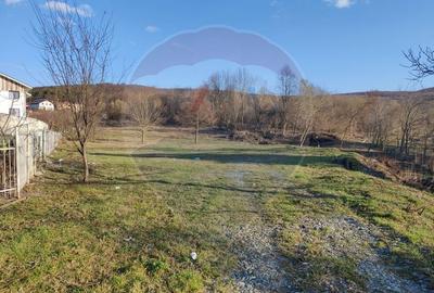Teren de vanzare in Faget! 3600 MP! PUZ Aprobat! - 4