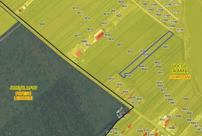 Teren de 7630 mp, în Frumușani - 4