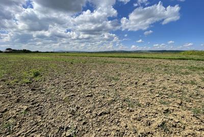 Teren la 13 KM de Baia Mare - 3