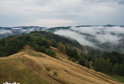 Teren de 7770 mp, în Holbav - 1