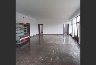 Spațiu comercial generos, la drum principal, localitatea Daia - 9