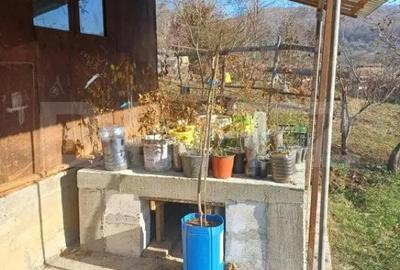 Casă cu 3 camere cu Teren 2000 Mp în Central - 2