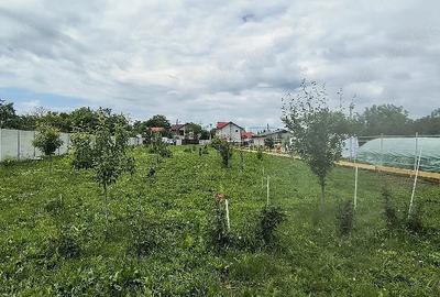 Teren de 2000 mp, în Glina - 3