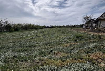 Casă cu 4 camere în Grăniceri - 3