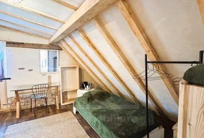 Oportunitate de business, zona ultracentrala, 8 camere - 5