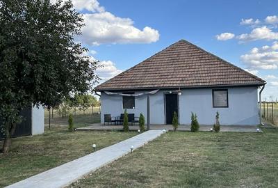 Casă cu 4 camere cu Teren 2972 Mp în Sânpetru Mic - 8