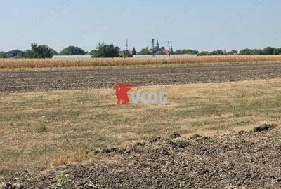 Teren intravilan Sag incepand de la 26.000! - 4