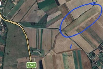 Teren de 70000 mp, în Bicaci - 1