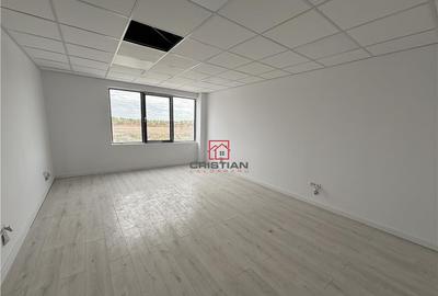 Depozit/hala/spatiu industrial Chiajna - Chitila - Rudeni - 2