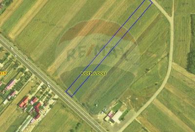 Teren 4 948 mp Bradesti / Racarii de Jos - 6