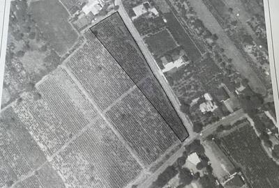 Spațiu comercial, în Merei - 2