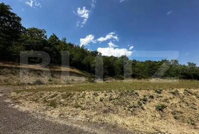 Teren de 15500 mp, în Aiud - 7