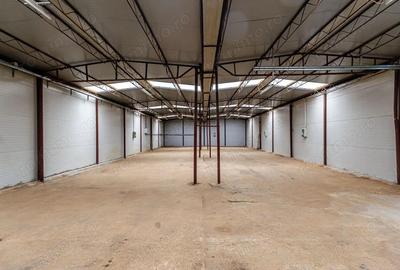 Hale depozitare/produc?ie 2.000 mp si 10.000 mp teren in Pecica - 2