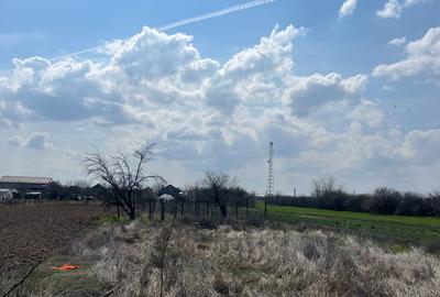 Teren de 1350 mp, în Leu - 1