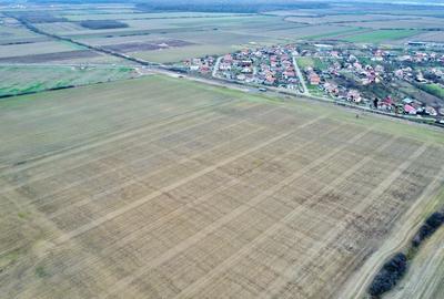 Teren Construcții intravilan de 540 mp, în Bucovăț (Remetea Mare) - 7