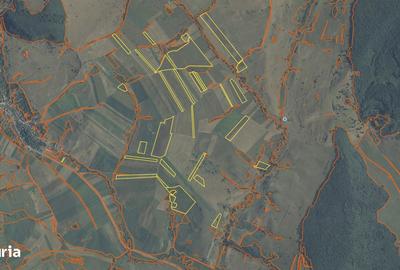 Teren de 500000 mp, în Bunești - 1