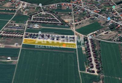 Teren Construcții intravilan de 10000 mp, în Balotești - 1