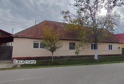 Vand casa in Recas, Timis - 1