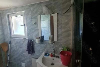 Curte cu doua case si teren - 1