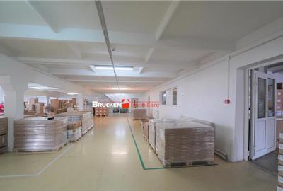 Oportunitate de investitie | Hala Parc Industrial 1 - 25