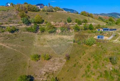 Teren extravilan 6,014mp | Holbav | BRASOV | COMISION 0| - 3