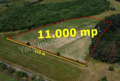 Teren de vanzare in comuna Baicule?ti, Judet Arge?. - 4