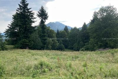 Teren Rasnov inntravilan PUZ) zona Parau Rece - 3