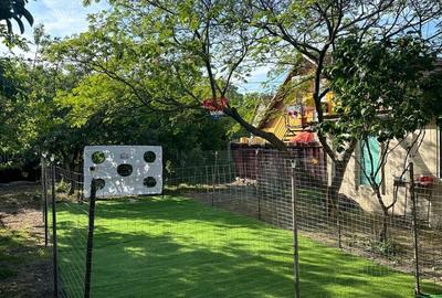 Casă cu 3 camere cu Teren 500 Mp în Buziașului - 7