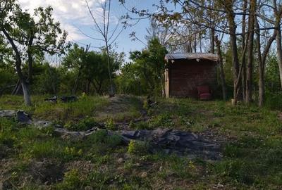 Teren de 2500 mp, în Mihăilești - 1