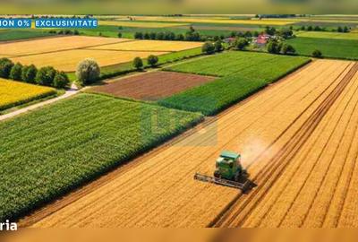 Teren de 10000 mp, în Adunații-Copăceni