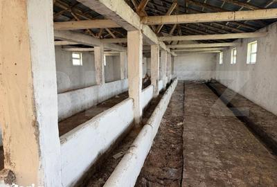 Spațiu comercial, de 952 mp, în Hănțești - 12