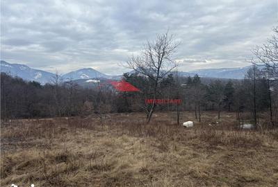 Teren de 15470 mp, în Prundu Bârgăului - 5