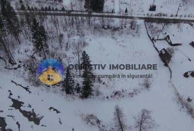 Teren de 2283 mp, în Tarcău - 20
