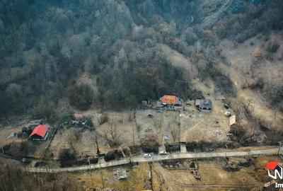 Teren de 17560 mp, în Runc (Ocoliș) - 2