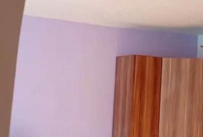 Apartament cu 2 camere decomandat, mobilat în Rahova - 3