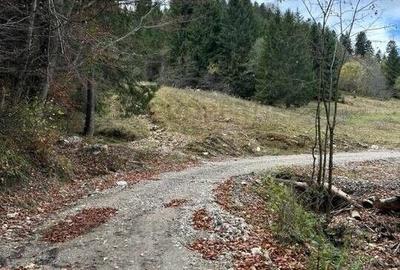 Teren in suprafata de 11 310  mp situat in Rasnov, Paraul Rece - 6