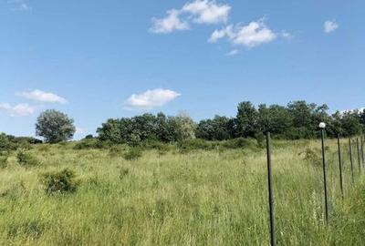 Teren de 1000 mp, în Chinteni