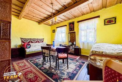 FILM! Doua case+anexe,rezidential comercial de vacanta,Zagon,Covasna - 2