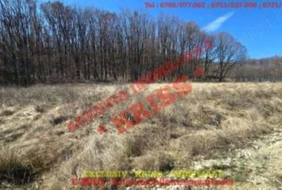 Teren de 847 mp, în Central - 4