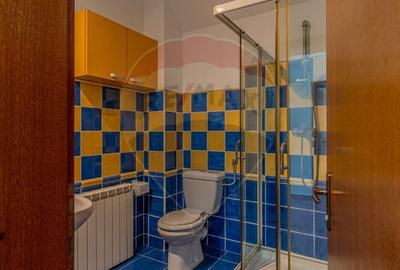 Casa CU POVESTE rezidential/ vacanta in Teliu cu 1700 mp teren! - 13