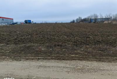 Spațiu comercial, în Sărata - 12