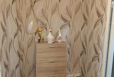 Apartament cu 2 camere semidecomandat, mobilat în Viziru 1 - 3