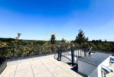 Apartament de Inchiriat | Iancu Nicolae | 154 mp | Terasa 150 mp | - 18