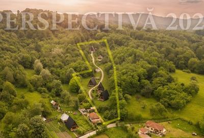 Teren Construcții intravilan de 11700 mp, în Valea Lungă-Gorgota - 6
