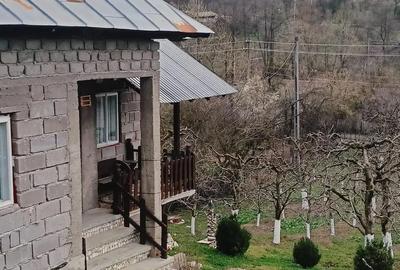 Casă cu 3 camere cu Teren 2800 Mp în Boțești - 4