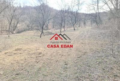 Teren de 3448 mp, în Provița de Jos - 11