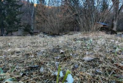 Casă cu 7 camere cu Teren 3800 Mp în Glăjărie - 5