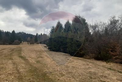 Teren Construcții extravilan de 14250 mp, în Nord-Est - 7