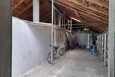 Vand casa Peciu Nou - 8